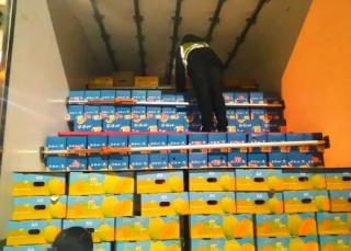 高速收費(fèi)站嚴(yán)厲打擊假冒綠色通道車輛，保障政策落實(shí)